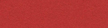 Linoleum Rot