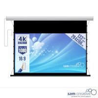 Projektionsleinwand Motor 4K|UHD 133" 294x166 cm weiß Metallgehäuse