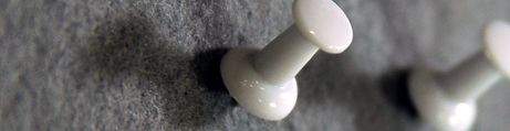 Pinnadeln regulär Pinnadeln regulär